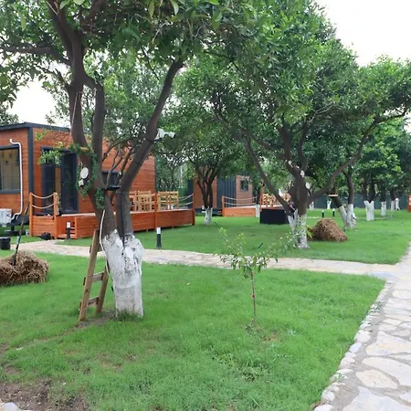 Mandalin Tiny Camping Camping Beldibi (Kemer)
