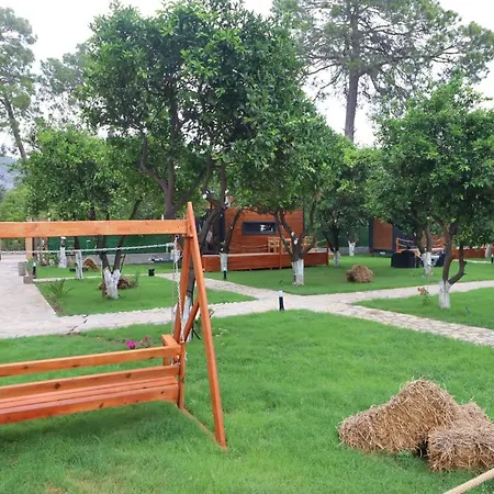 Camping Mandalin Tiny Camping *